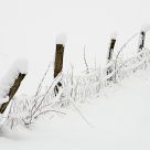 fence