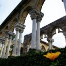 Versailles Gardens