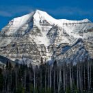 Mt. Robson