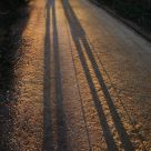 Morning walk