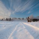 Tracks