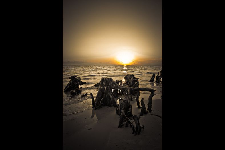 Nuclear Beach