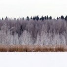 In silver (panorama)