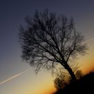 Tramonto