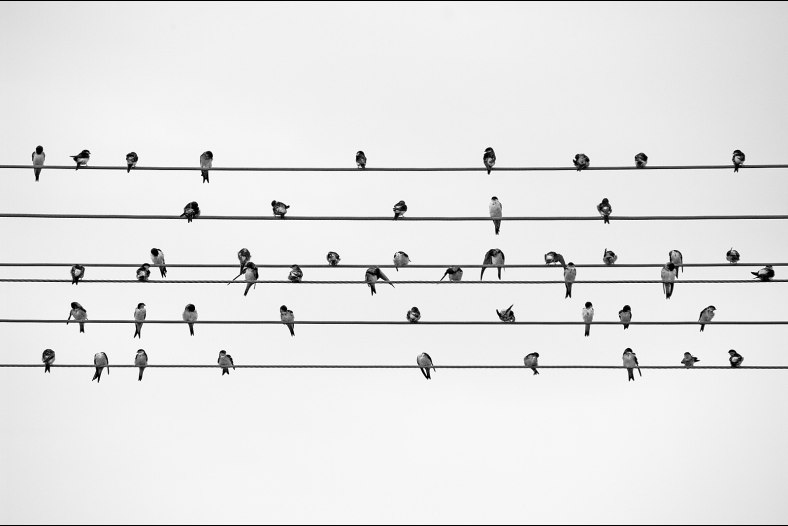 Guitar note