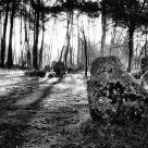 Apparition mégalithique - Megalithic appearance