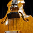 The Bass