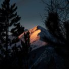 Morning in the Rockies
