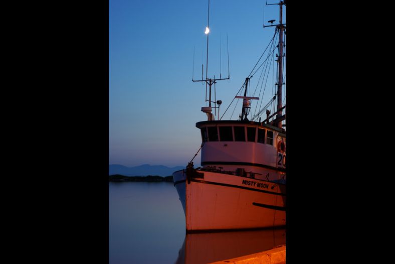 Misty Moon