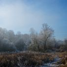 Misty Morning