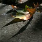 Last ray of the sun