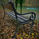 lonely...