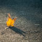 Passing