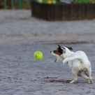 Hight speed...
