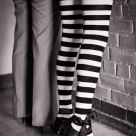Zebras