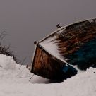 Winter scene
