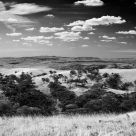 The Clare Valley