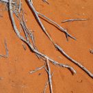 Red Sand