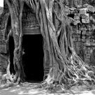 Cambodian Temple