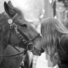 Equine Affair