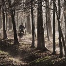 Lonely biker on a foggy morning 2