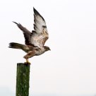take off