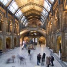 Natural History