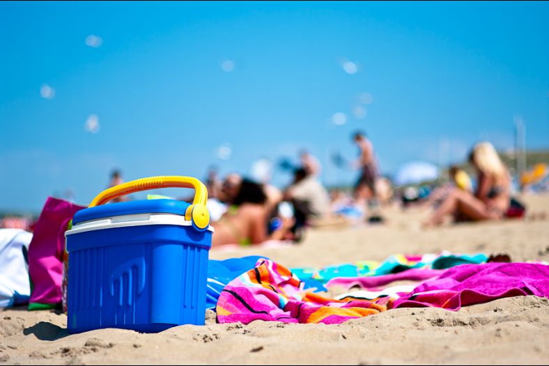 The Color of Summer