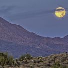 Dawn Moon