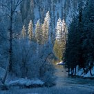 Creekside Winter.