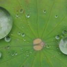 after raining