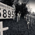 In Memory