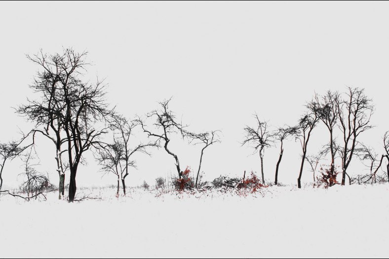 Whiteout