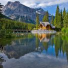 The Cabin
