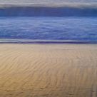 Sun Kissed Shore