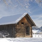 Old Cabin