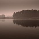 Fog Island