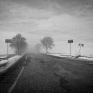 Creeping brume