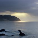 Rays Of Light