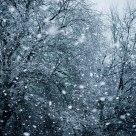 Winter Blast