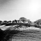Winter Shadows