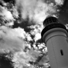 The Light House