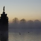 Sunrise over Bushy Park
