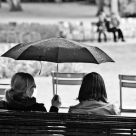 a rainy day