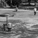Victoria Park shadows