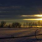 silhouetted spokes