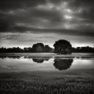 reflection