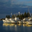 Safe in the Harbour