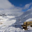 Lonely bench