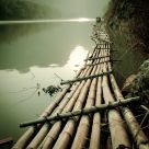 Bamboo Bridge